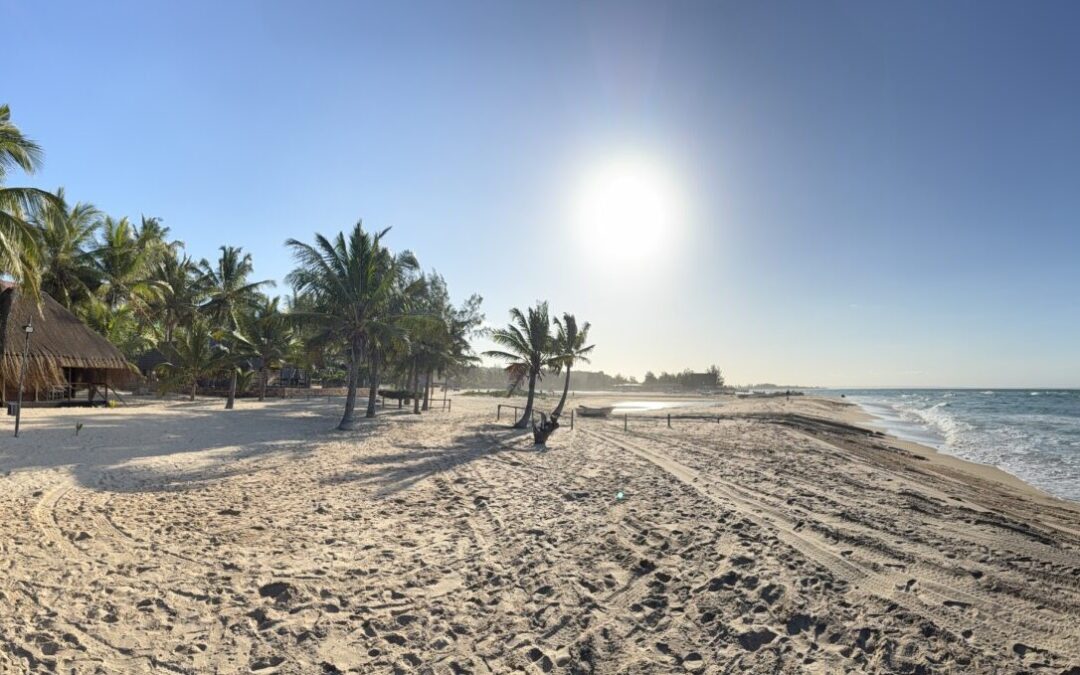 Boutique Eco Resorts in Emerging Markets: What Duna Serena Boutique Tofo Can Teach Hospitality Investors