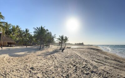 Boutique Eco Resorts in Emerging Markets: What Duna Serena Boutique Tofo Can Teach Hospitality Investors